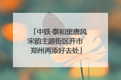 中铁·泰和里唐风宋韵主题街区开市 郑州再添好去处
