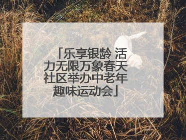 乐享银龄 活力无限万象春天社区举办中老年趣味运动会