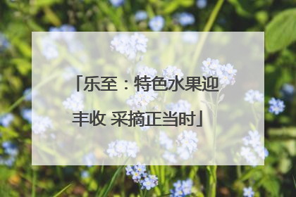 乐至：特色水果迎丰收 采摘正当时