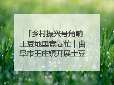 乡村振兴号角响 土豆地里竞赛忙｜曲阜市王庄镇开展土豆收获劳动竞赛
