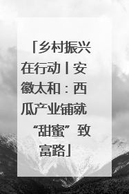 乡村振兴在行动丨安徽太和：西瓜产业铺就“甜蜜”致富路