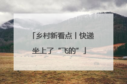 乡村新看点丨快递坐上了“飞的”