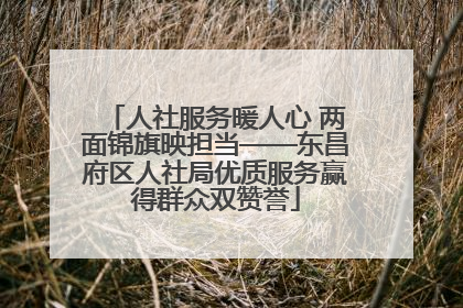 人社服务暖人心 两面锦旗映担当——东昌府区人社局优质服务赢得群众双赞誉