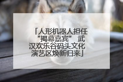 人形机器人担任“揭幕嘉宾” 武汉欢乐谷码头文化演艺区焕新归来