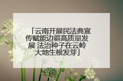 云南开展民法典宣传赋能边疆高质量发展 法治种子在云岭大地生根发芽