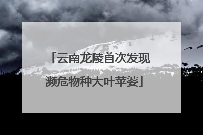 云南龙陵首次发现濒危物种大叶苹婆