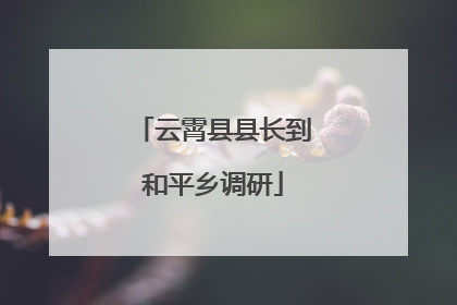 云霄县县长到和平乡调研