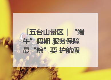 五台山景区｜“端午”假期 服务保障最“粽”要 护航假期“不打烊”