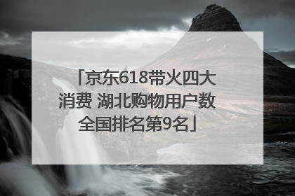 京东618带火四大消费 湖北购物用户数全国排名第9名