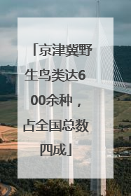 京津冀野生鸟类达600余种，占全国总数四成