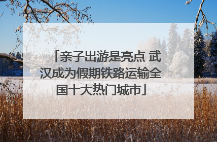 亲子出游是亮点 武汉成为假期铁路运输全国十大热门城市