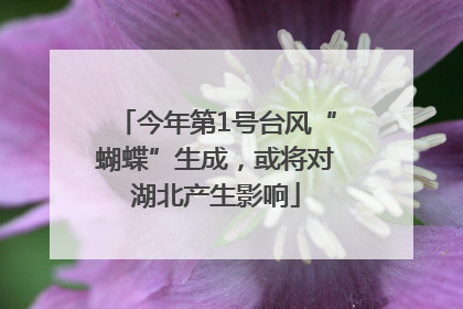 今年第1号台风“蝴蝶”生成，或将对湖北产生影响