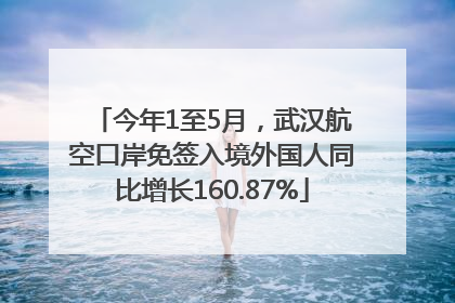 今年1至5月，武汉航空口岸免签入境外国人同比增长160.87%