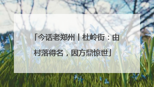 今话老郑州丨杜岭街：由村落得名，因方鼎惊世