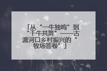 从“一牛独鸣”到“千牛共舞”——古渡河口乡村振兴的“牧场答卷”