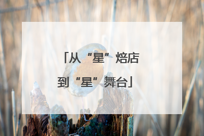 从“星”焙店到“星”舞台