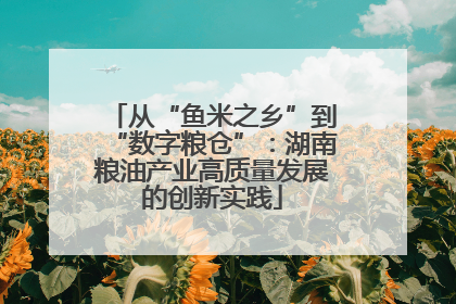 从“鱼米之乡”到“数字粮仓”：湖南粮油产业高质量发展的创新实践