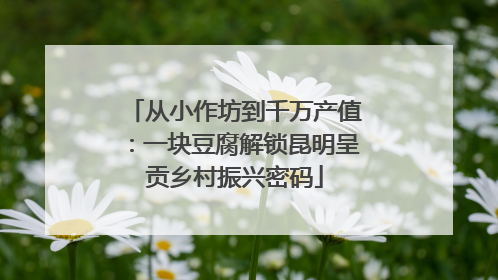 从小作坊到千万产值：一块豆腐解锁昆明呈贡乡村振兴密码