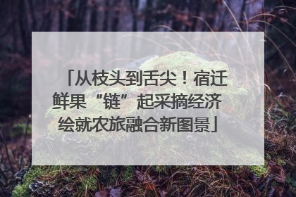 从枝头到舌尖！宿迁鲜果“链”起采摘经济绘就农旅融合新图景