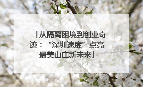 从隔离困境到创业奇迹：“深圳速度”点亮最美山庄新未来