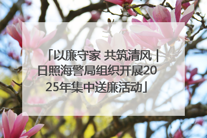 以廉守家 共筑清风｜日照海警局组织开展2025年集中送廉活动