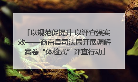 以规范促提升 以评查强实效——商南县司法局开展调解案卷“体检式”评查行动