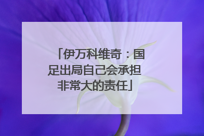 伊万科维奇：国足出局自己会承担非常大的责任