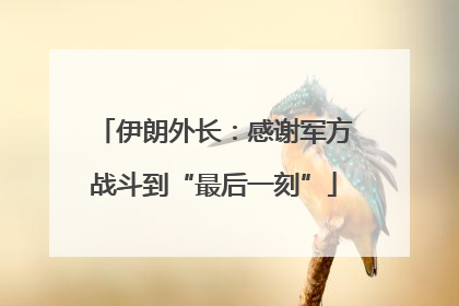 伊朗外长：感谢军方战斗到“最后一刻”