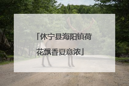 休宁县海阳镇荷花飘香夏意浓