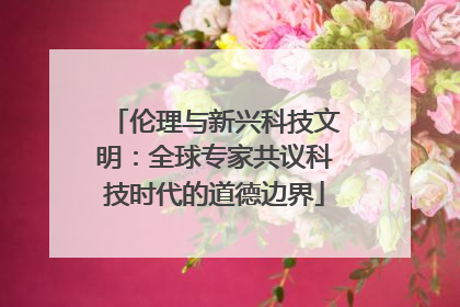 伦理与新兴科技文明：全球专家共议科技时代的道德边界