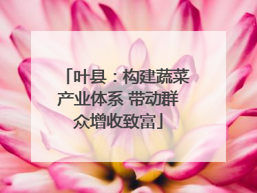 叶县：构建蔬菜产业体系 带动群众增收致富