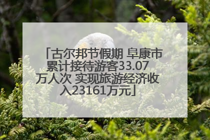 古尔邦节假期 阜康市累计接待游客33.07万人次 实现旅游经济收入23161万元
