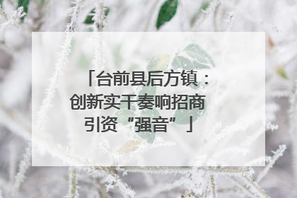 台前县后方镇：创新实干奏响招商引资“强音”