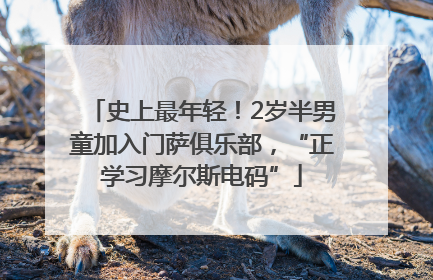 史上最年轻！2岁半男童加入门萨俱乐部，“正学习摩尔斯电码”