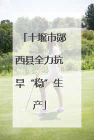 十堰市郧西县全力抗旱“稳”生产