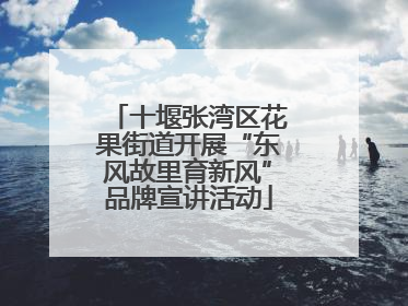 十堰张湾区花果街道开展“东风故里育新风”品牌宣讲活动