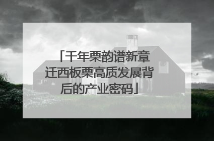 千年栗韵谱新章 迁西板栗高质发展背后的产业密码