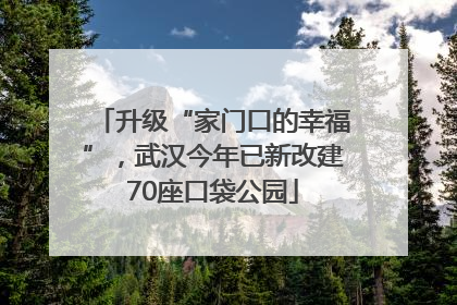 升级“家门口的幸福”，武汉今年已新改建70座口袋公园
