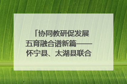 协同教研促发展 五育融合谱新篇——怀宁县、太湖县联合教研活动在月山镇中心学校成功举办
