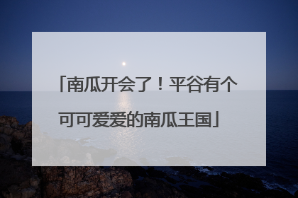 南瓜开会了！平谷有个可可爱爱的南瓜王国