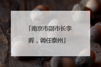南京市副市长李晖，调任泰州