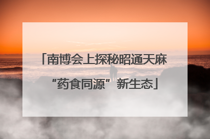 南博会上探秘昭通天麻“药食同源”新生态