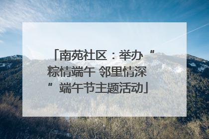 南苑社区：举办“粽情端午 邻里情深”端午节主题活动