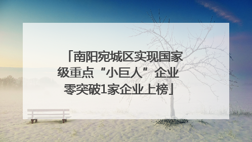 南阳宛城区实现国家级重点“小巨人”企业零突破1家企业上榜