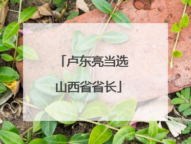卢东亮当选山西省省长