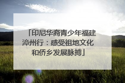 印尼华裔青少年福建漳州行：感受祖地文化和侨乡发展脉搏