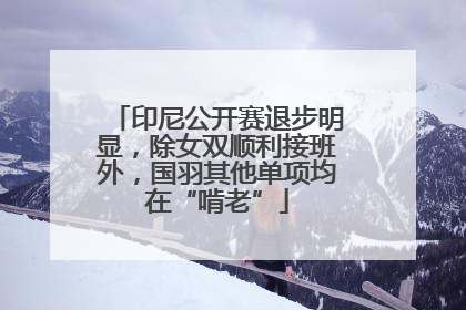 印尼公开赛退步明显，除女双顺利接班外，国羽其他单项均在“啃老”