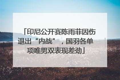 印尼公开赛陈雨菲因伤退出“内战”，国羽各单项唯男双表现差劲
