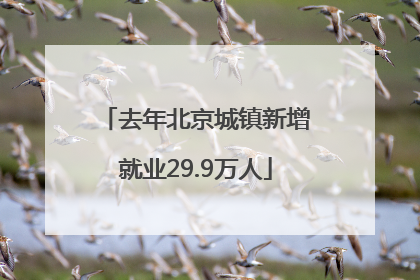 去年北京城镇新增就业29.9万人