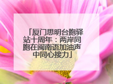 厦门思明台胞驿站十周年：两岸同胞在闽南语加油声中同心接力